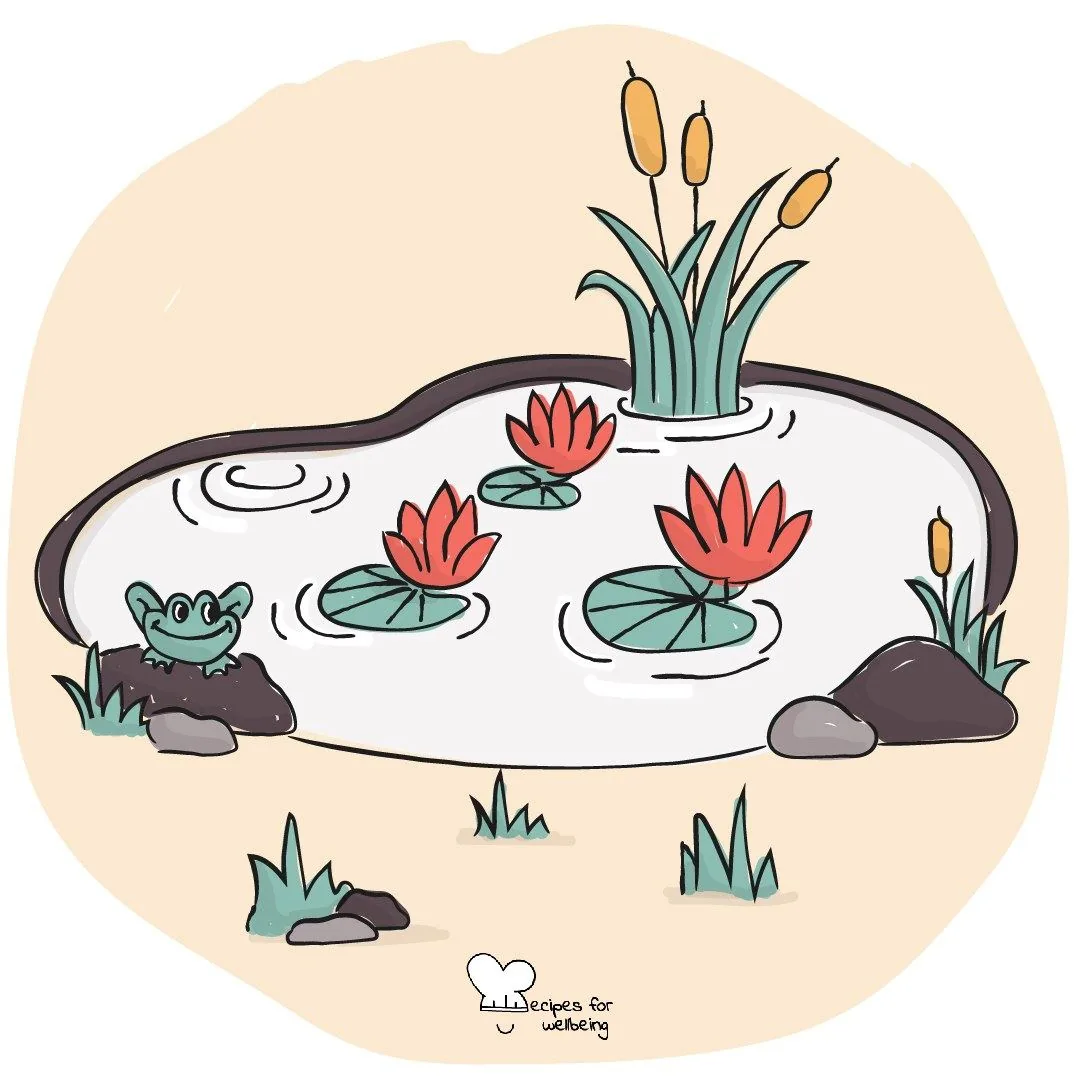 A small pond with water lilies and reeds, ripples spreading across the water