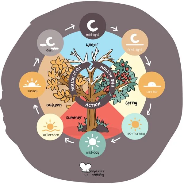 The regenerative action cycle