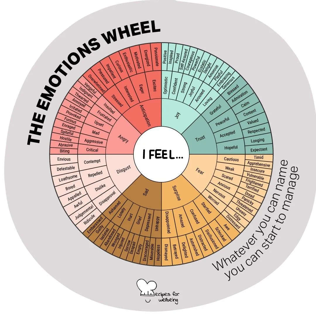 A wheel of emotions, reading outward from 'I feel' in the centre into named feelings