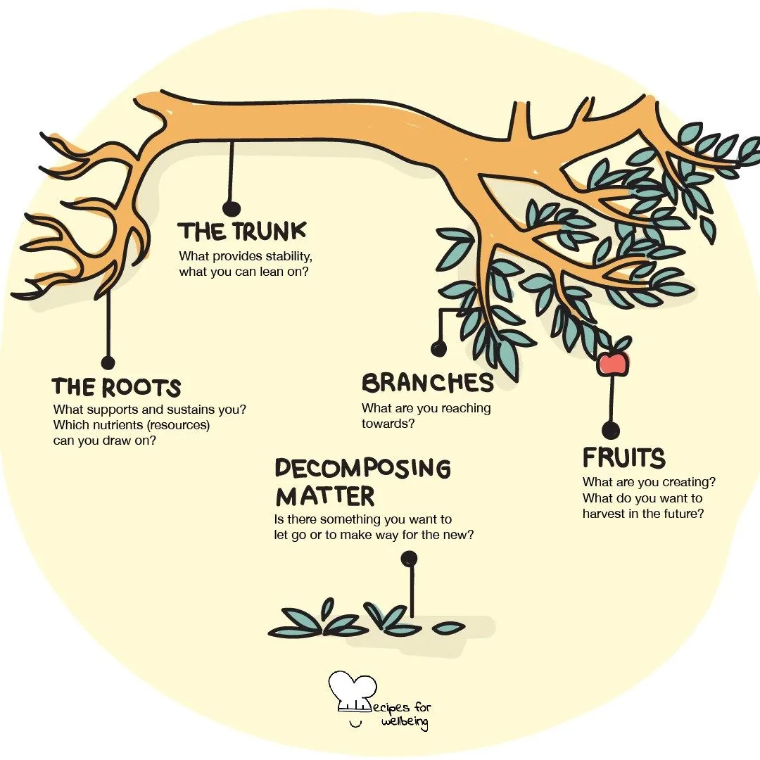A tree diagram labelled roots, trunk, branches and fruits, each with a question